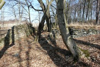 Jesenec (© Jaroslav Šefčík, 02/2012)