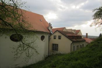  (© Michal Schuster, 04/2014)