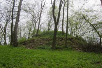  (© Michal Schuster, 04/2014)