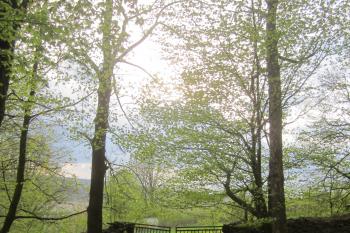  (© Michal Schuster, 04/2014)