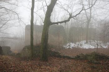 areál obehnaném rozpadlou zdí- Zřejmě zámecká zahrada. (© Luděk Vláčil, 02/2015)