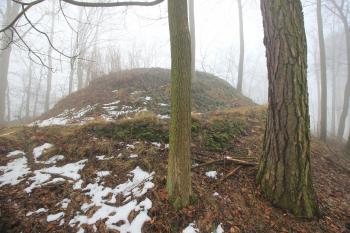 Tajemný umělý vrcholek s cestičkou v areálu obehnaném rozpadlou zdí- Zřejmě zámecká zahrada. (© Luděk Vláčil, 02/2015)
