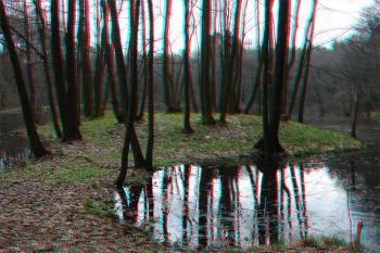  ( © Jiří Čížek 04/2005)