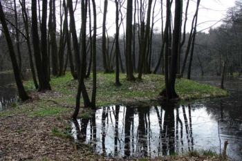  ( © Jiří Čížek 04/2005)