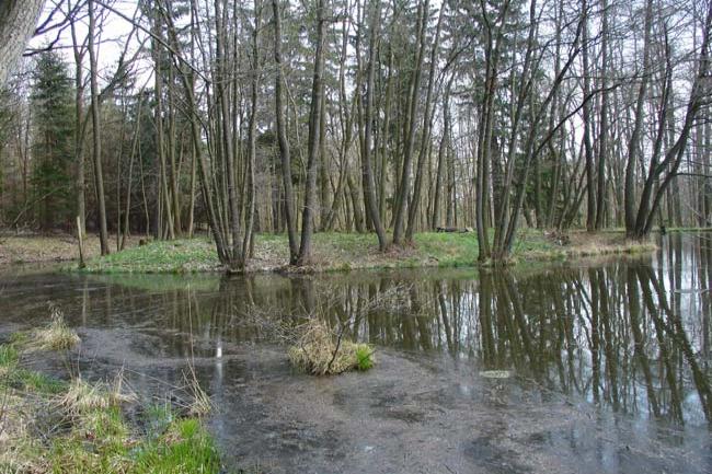 Hluboká