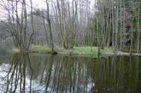 Hluboká