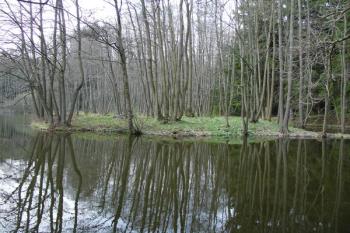  ( © Jiří Čížek 04/2005)