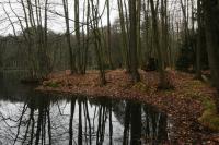 Hluboká