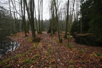 Pohled na plochu tvrziště (© Petr Nožička 12/2019)
