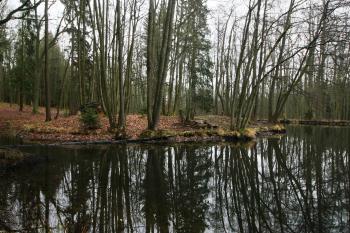  (© Petr Nožička 12/2019)