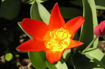  ( © Jan P. Štěpánek 04/2005)