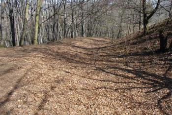 Mohutný val ( © Jiří Čížek 03/2007)
