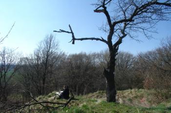 Na samém vrcholu ( © Jiří Čížek 03/2007)