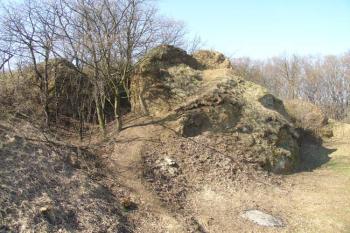  ( © Jiří Čížek 03/2007)