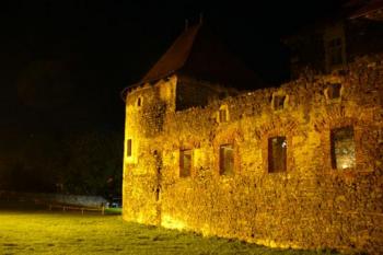 Hrad Švihov - opevnění hradu (© Pavel Jarý,  24.08.2007)