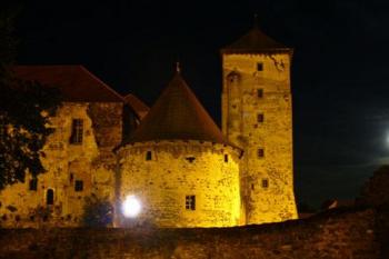 Hrad Švihov - pohled na hrad (© Pavel Jarý,  24.08.2007)