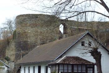 zřícenina hradu Talmberk (© Vlastislav Mareček, 03/2016)