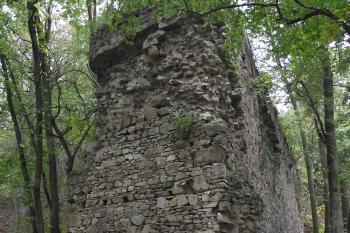  (© Michal Brůža, 10/2011)
