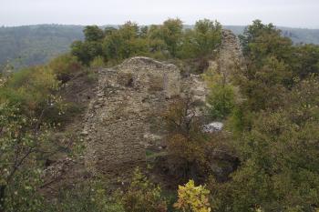  (© Michal Brůža, 10/2011)