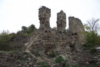  (© Michal Brůža, 10/2011)