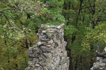  (© Michal Brůža, 10/2011)