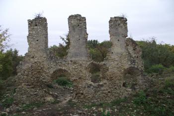  (© Michal Brůža, 10/2011)