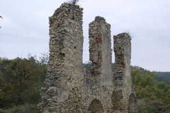  (© Michal Brůža, 10/2011)