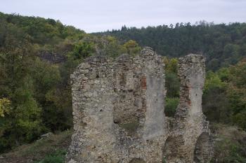  (© Michal Brůža, 10/2011)