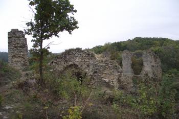  (© Michal Brůža, 10/2011)