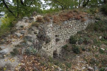  (© Michal Brůža, 10/2011)
