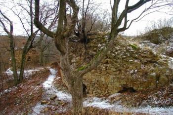 Templštejn (© 02/2007 Martin KLIMÁNEK)