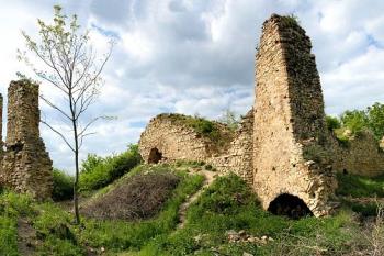  (© Václav ŠABAT, 05/2008)