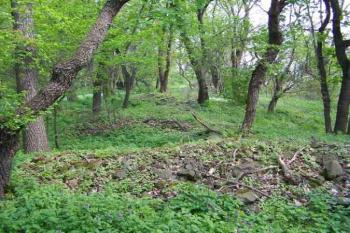 Zbytky linie hradeb (© Vladimír Studecký 05/2005)