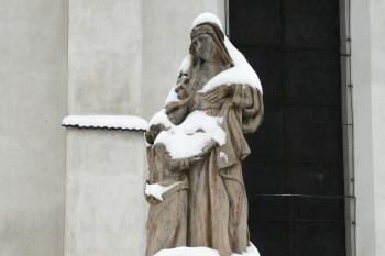  (© Alena Volná, 1/2010)