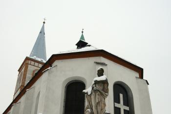  (© Alena Volná, 1/2010)