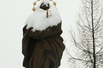  (© Alena Volná, 1/2010)