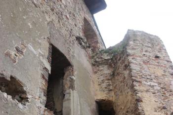 Prevetový krček u severní stěny purkrabství ( © Ivan Grisa 08/2011)
