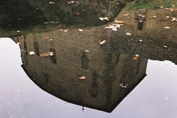 Točník zrcadlící se v jezírku (2003 © Jiří Mašek)