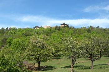 Točník v květnu ( © Milan Caha 05/2009)
