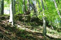 Kozlovice