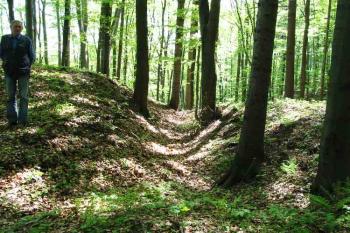  ( © Jan P. Štěpánek 05/2005)