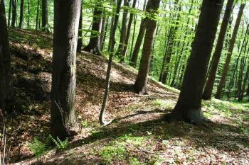  ( © Jan P. Štěpánek 05/2005)