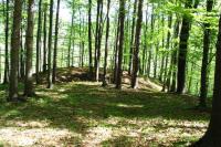 Kozlovice