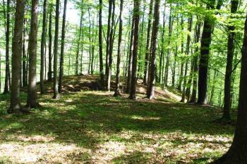  ( © Jan P. Štěpánek 05/2005)