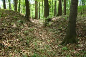 Šíjový příkop oddělující plochu jádra lokality. ( © Miroslav BITTER 05/2008)