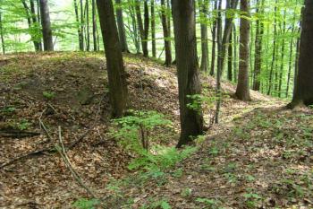 Šíjový příkop oddělující plochu jádra lokality. ( © Miroslav BITTER 05/2008)