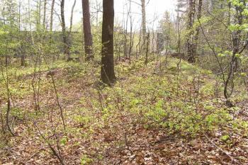 Pohled od severu na západní val šancí a jihozápadní nároží ( © Jan P. Štěpánek 05/2005)
