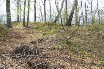 Pohled na čelní val a příkop od jihovýchodu ( © Jan P. Štěpánek 05/2005)