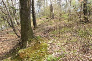 Pohled od severu na východní val šancí ( © Jan P. Štěpánek 05/2005)