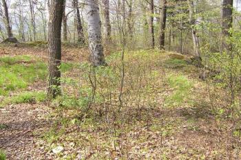Pohled od jihu na východní val šancí ( © Jan P. Štěpánek 05/2005)